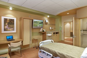 Luxury Hospital Room